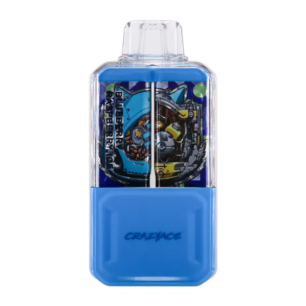 BUY 1 GET 1 FREE Blueberry Raspberry Ice Crazy Ace B15000 | Vape Amazon India Crazy Ace