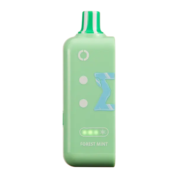 BUY 1 GET 1 FREE Forest Mint Ice Off Stamp Ice Cube | Vape Amazon India